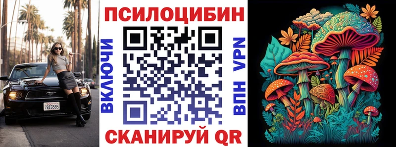 Купить закладки  Бор  Псилоцибиновые грибы мицелий 